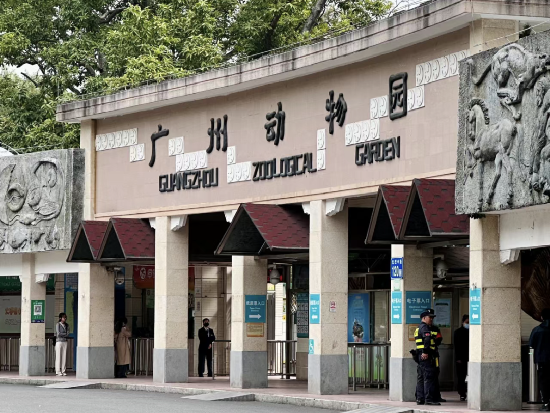 66歲的廣州動物園改造：該以人還是以動物為本？