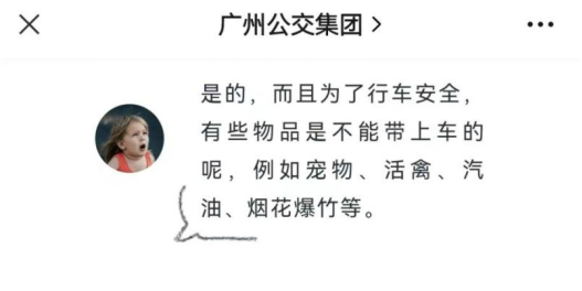 廣東開通寵物專線，你愿意和貓狗同坐一車嗎？