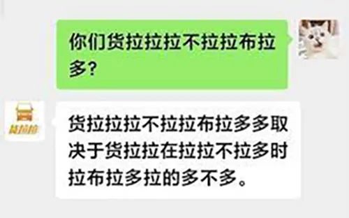 廣東開通寵物專線，你愿意和貓狗同坐一車嗎？
