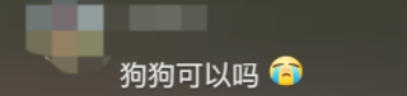 廣東開通寵物專線，你愿意和貓狗同坐一車嗎？