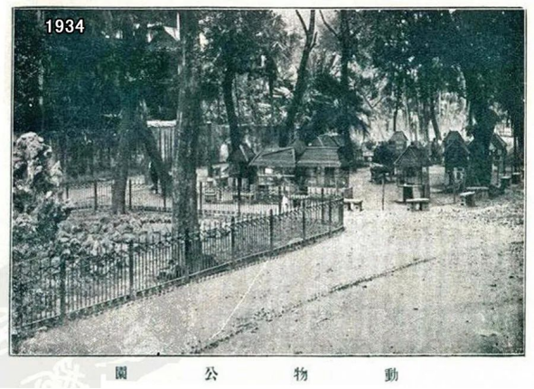 66歲的廣州動物園改造：該以人還是以動物為本？