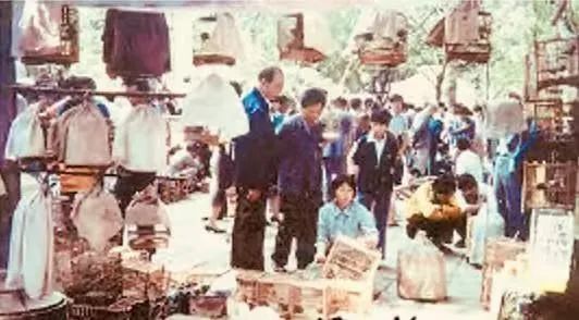 中央公園:老廣州津津樂道的兒童樂園 || 荔人行 中央公園:老廣州津津樂道的兒童樂園 || 荔人行
