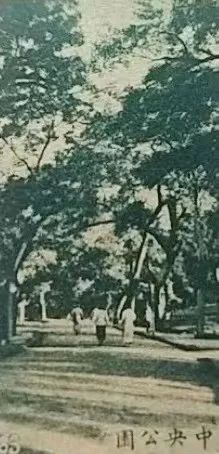 中央公園:老廣州津津樂道的兒童樂園 || 荔人行 中央公園:老廣州津津樂道的兒童樂園 || 荔人行