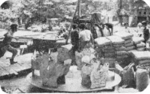 中央公園:老廣州津津樂道的兒童樂園 || 荔人行 中央公園:老廣州津津樂道的兒童樂園 || 荔人行
