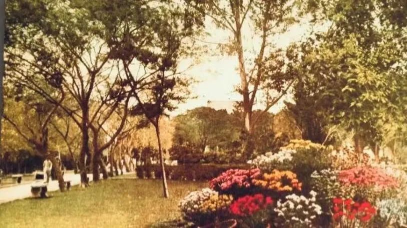 中央公園:老廣州津津樂道的兒童樂園 || 荔人行 中央公園:老廣州津津樂道的兒童樂園 || 荔人行