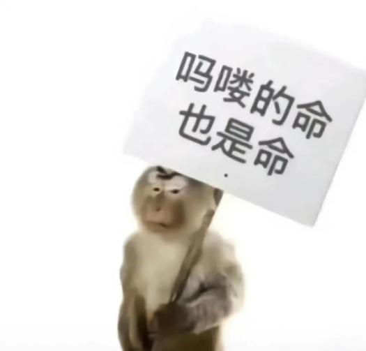 “錦鯉”表情包流行，只是廣東人的自High嗎？
