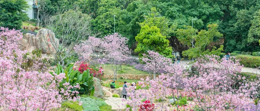 花城、花縣、花洲、花地……這些廣州地名是怎么來的？