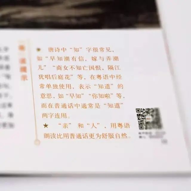 阿媽教我：熟讀唐詩三百首，唔會吟詩也會偷