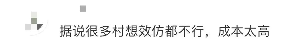 三元里村：禁了電雞，丟了人氣？