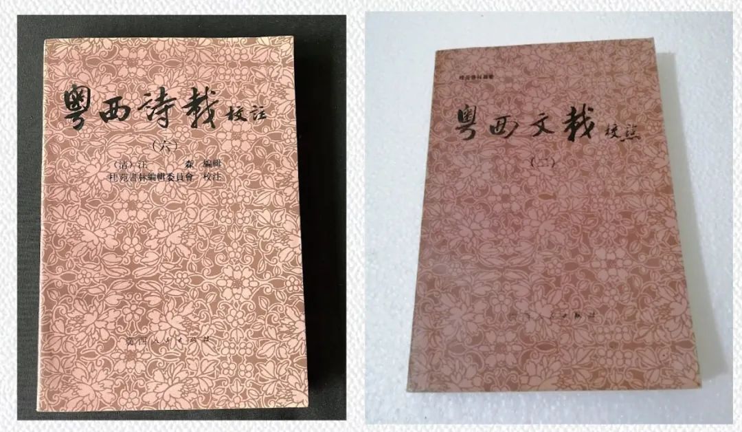 梧州，到底是不是粵語發(fā)源地？