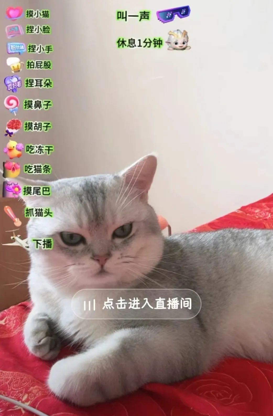 抖音騎呢直播，究竟玩到幾癲？