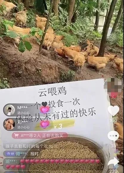 抖音騎呢直播，究竟玩到幾癲？