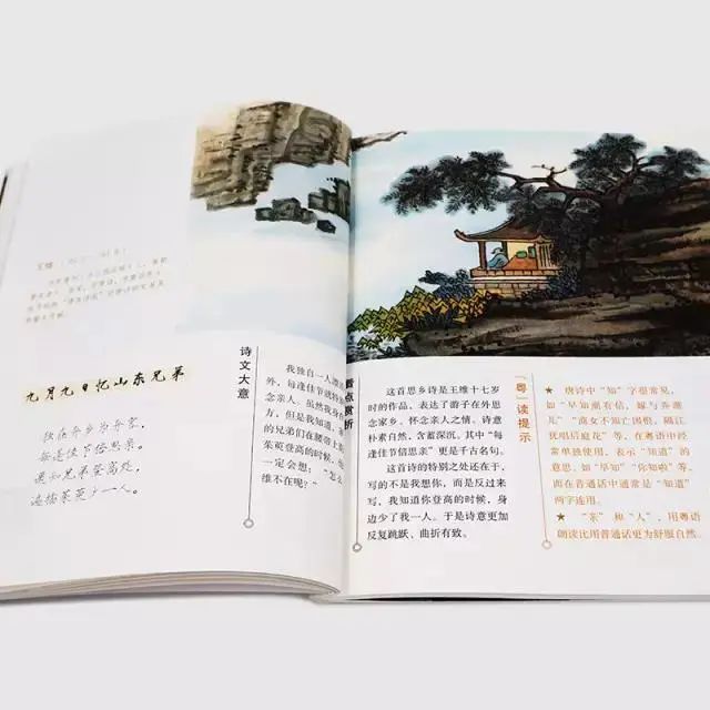 粵語(yǔ)傳承危機(jī)：大家都能感受到，但卻總說(shuō)不清原因……