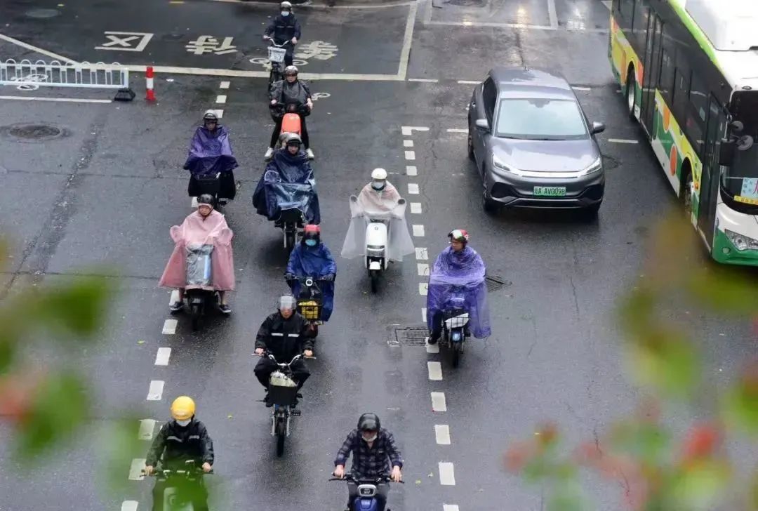 清華教授呼吁解禁摩托，能解救被電雞圍困的廣州嗎？