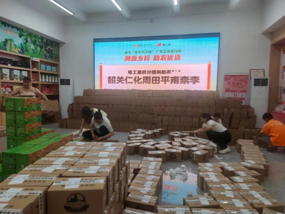平甫柰李打包發(fā)往各地。