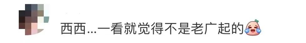 廣州人：江南西新吉祥物，點解要叫“西西”？