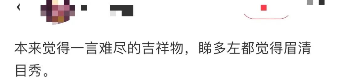 廣州人：江南西新吉祥物，點解要叫“西西”？
