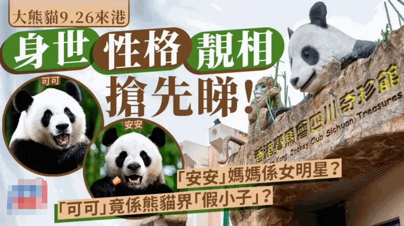 外地人誤解太深：粵語(yǔ)有音無(wú)字，不能稱為語(yǔ)言？