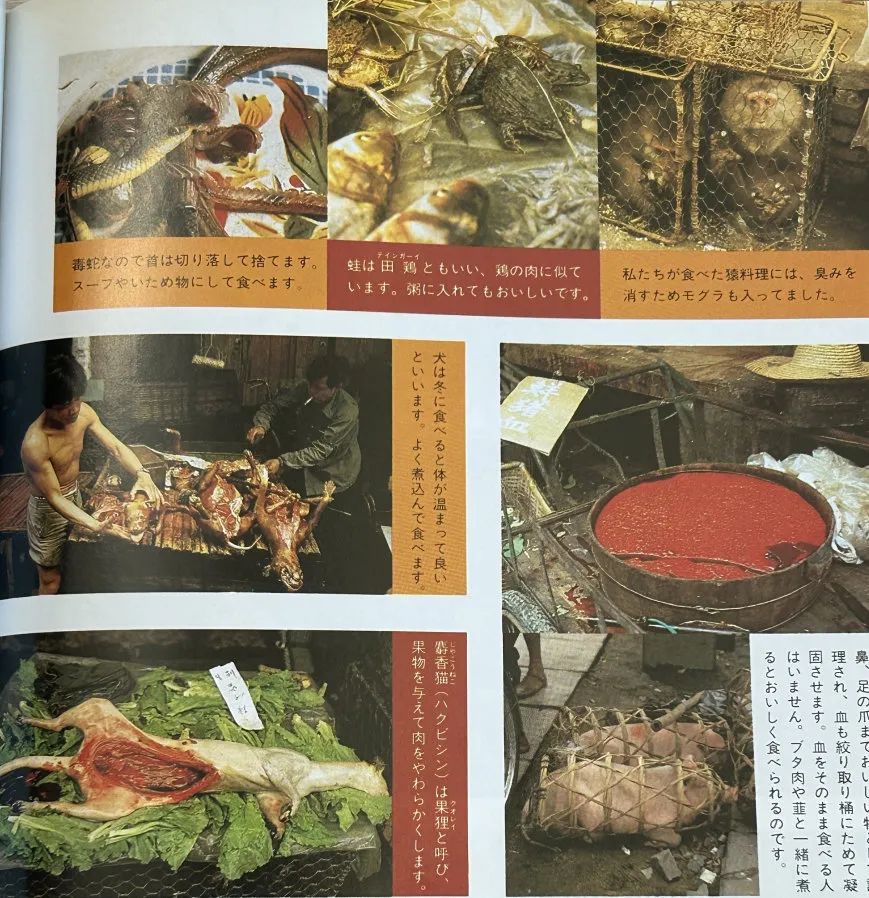 這本二手日文書里，竟珍藏著40年前那個(gè)鮮活的廣州