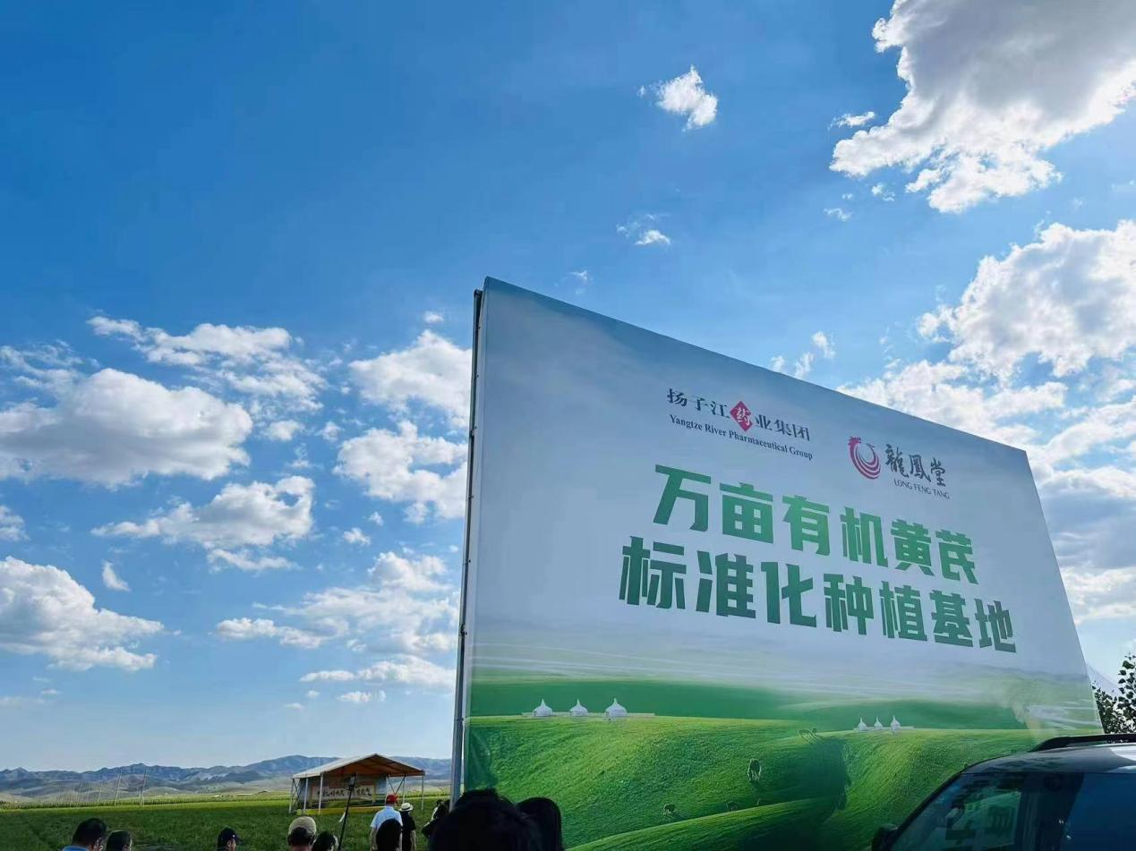 揚(yáng)子江藥業(yè)集團(tuán)黃芪(有機(jī))標(biāo)準(zhǔn)化種植基地 揚(yáng)子江藥業(yè)集團(tuán)供圖