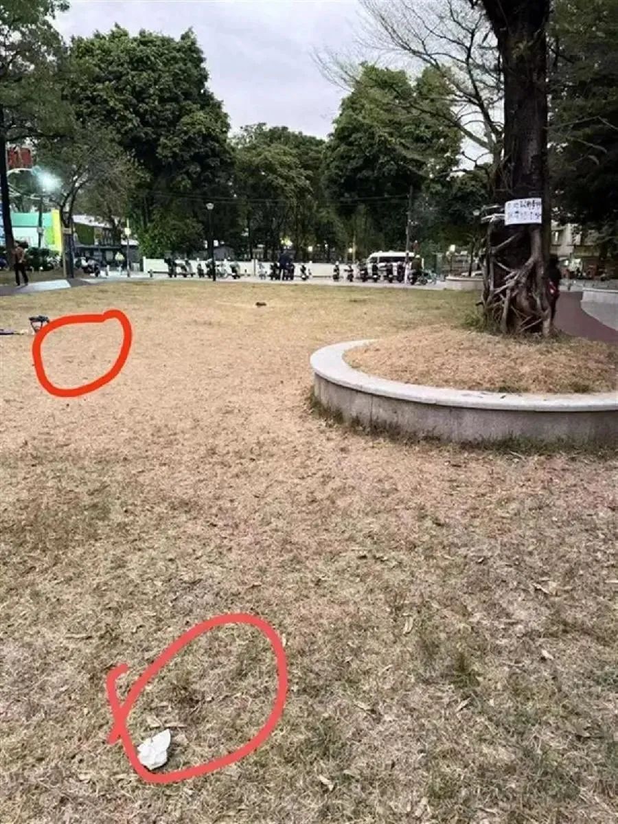 誰是兇手？廣州10日內(nèi)超40只狗被毒死！