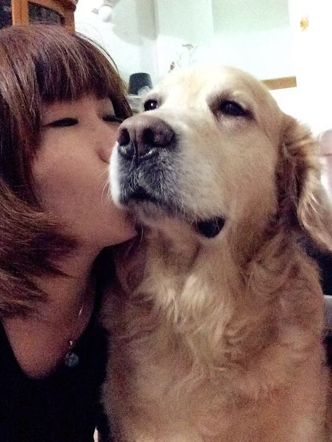 誰是兇手？廣州10日內(nèi)超40只狗被毒死！