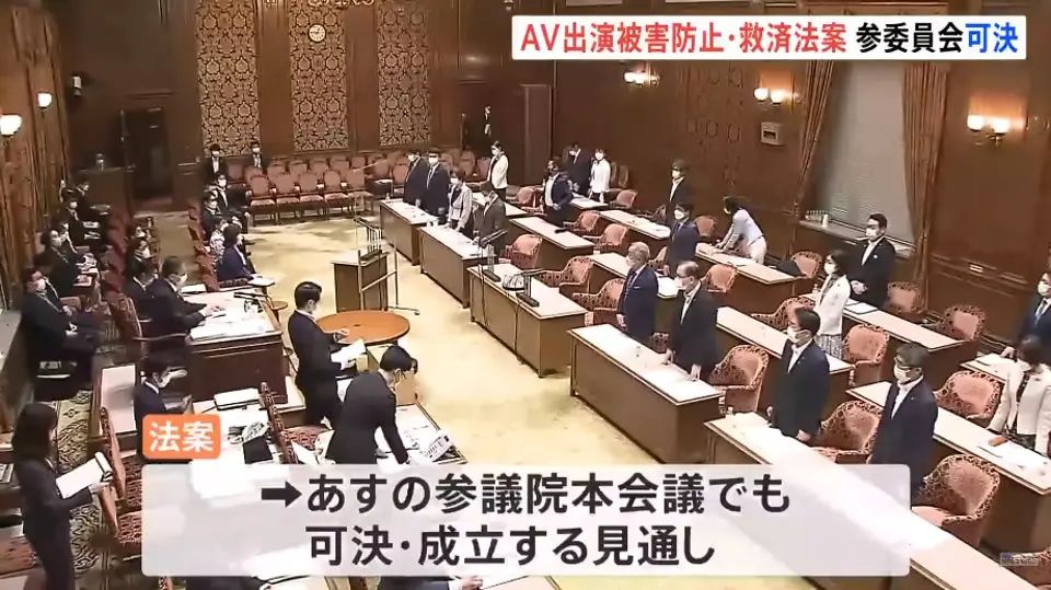 揾食艱難？日本AV女優(yōu)赴港賣淫被捕的背后……