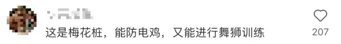 石墩陣和梅花樁能為廣州換來安全和秩序嗎？