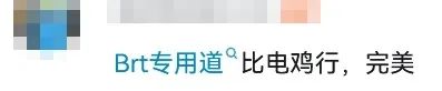 廣州BRT路線再斬，網(wǎng)友建議改為電雞專用“雞RT”