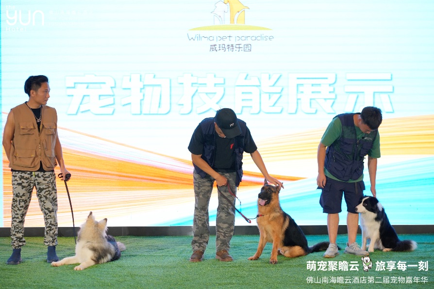 寵物樂園現(xiàn)場技能展示