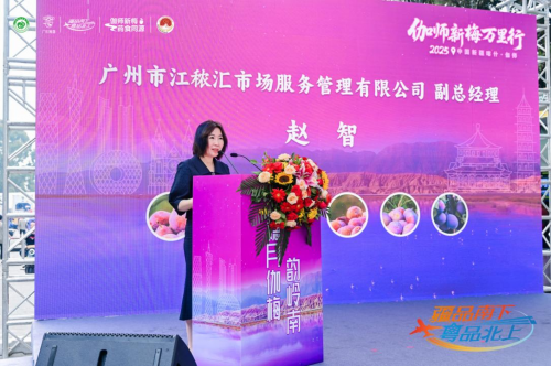 伽師新梅萬里行甜蜜登陸廣州，共啟南國甜蜜新篇章