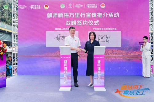 伽師新梅萬里行甜蜜登陸廣州，共啟南國甜蜜新篇章