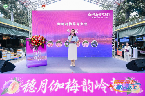 伽師新梅萬里行甜蜜登陸廣州，共啟南國甜蜜新篇章