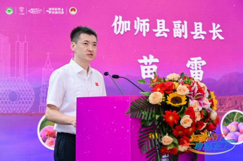 伽師新梅萬里行甜蜜登陸廣州，共啟南國甜蜜新篇章