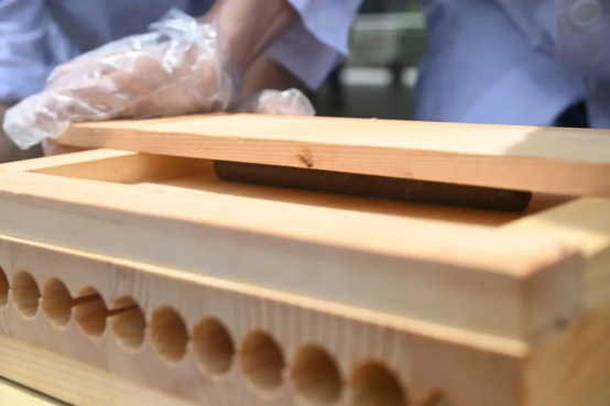 專業(yè)介紹系列 | 中藥——弘揚(yáng)國(guó)藥·守護(hù)安康