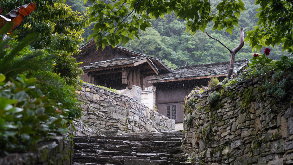 穗安協(xié)作賦能安順農(nóng)文旅發(fā)展——平臺(tái)企業(yè)助力特色鄉(xiāng)村新圖