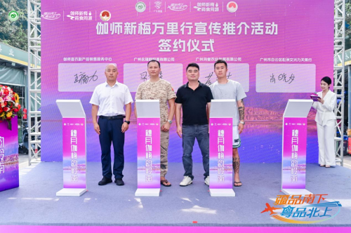 伽師新梅萬里行甜蜜登陸廣州，共啟南國甜蜜新篇章
